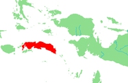 Ceram ligt ten westen van Nieuw-Guinea