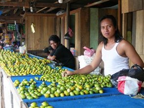 Marktkraam met betelnoten