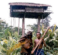 korowai voor boomhut 