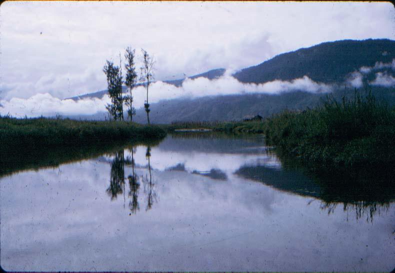 BD/37/64 - 
De Kugapa-rivier vanaf de grond gezien.
