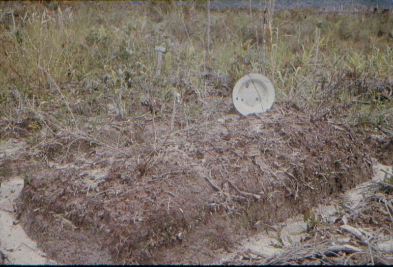 BD/37/103 - 
graven 1
