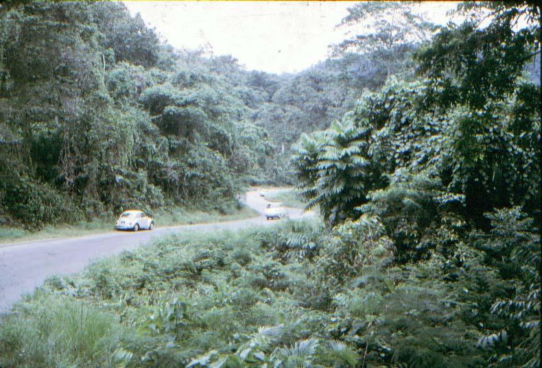 BD/37/130 -
De weg naar Sentani