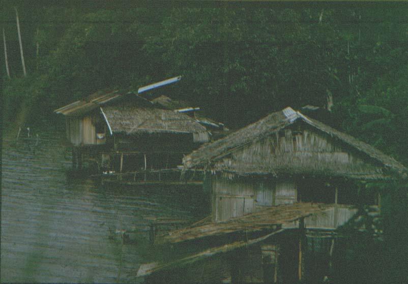 BD/37/145 - 
huttenbouw: Sentani 1
