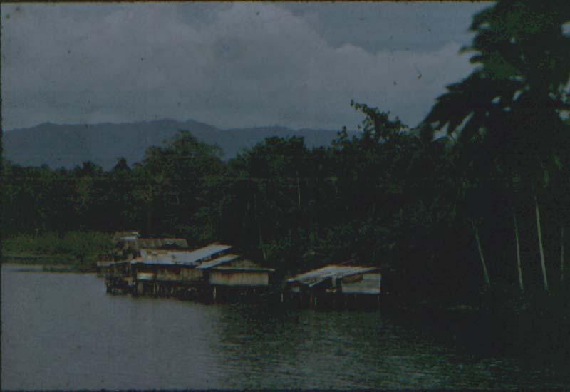 BD/37/146 - 
huttenbouw: Sentani 2
