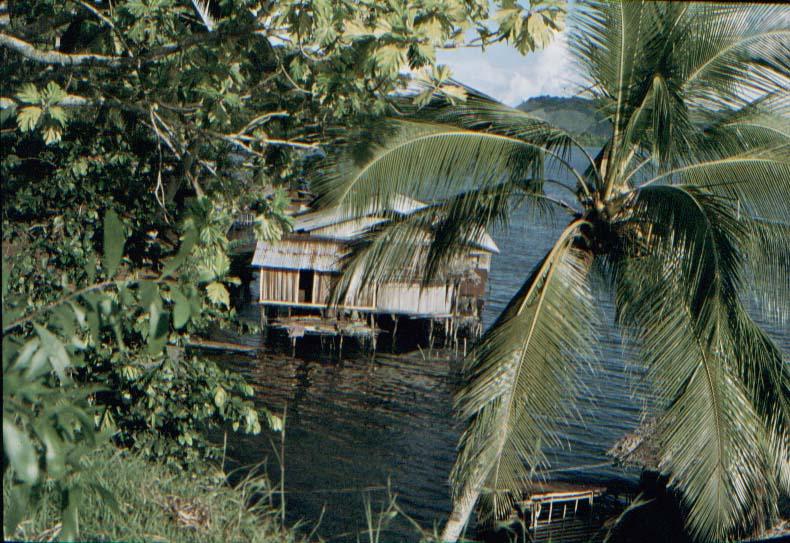 BD/37/147 - 
huttenbouw: Sentani 3
