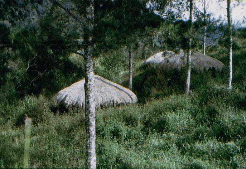 BD/37/155 - 
construction of cabins: Ilaga 2
