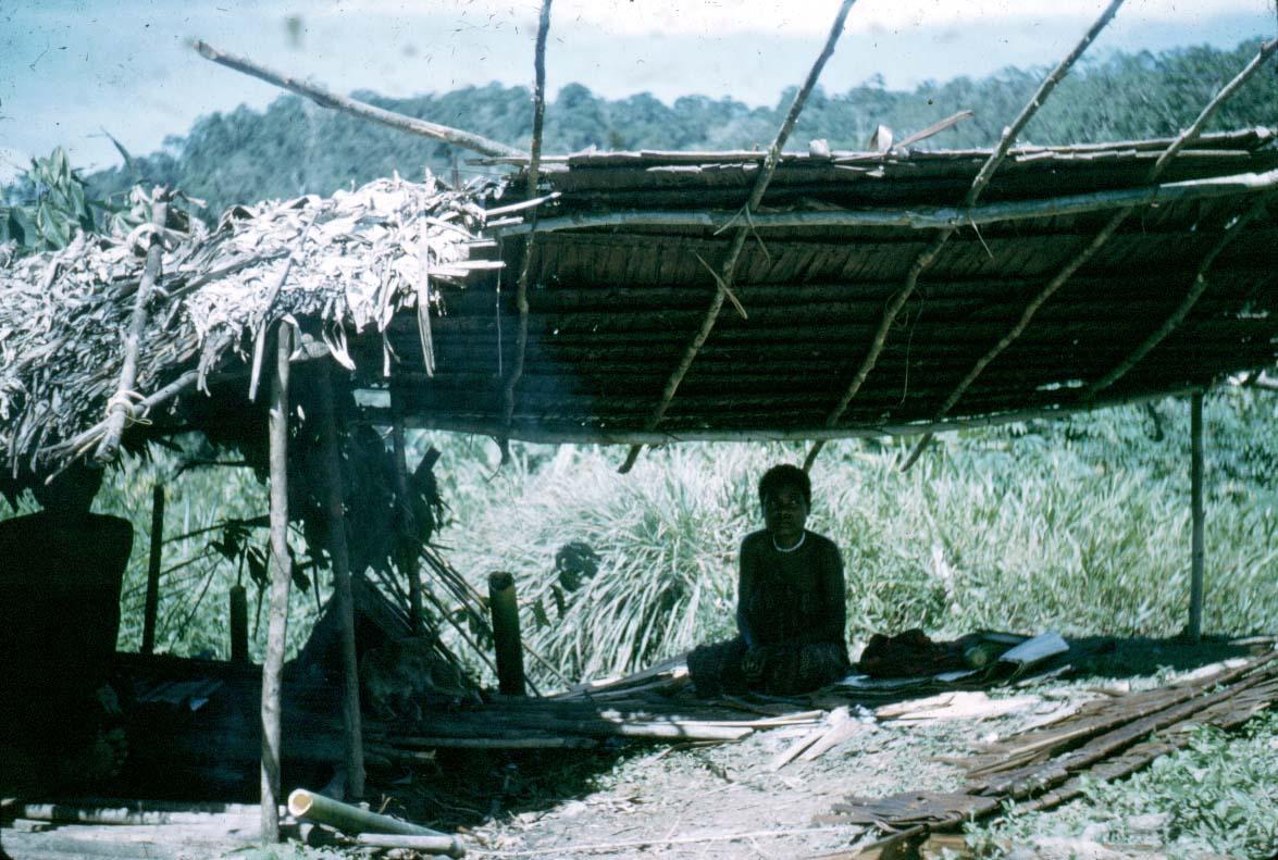 BD/24/47 -
Vrouw in "pemali-hut"