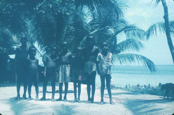 BD/67/87 - 
Biak
