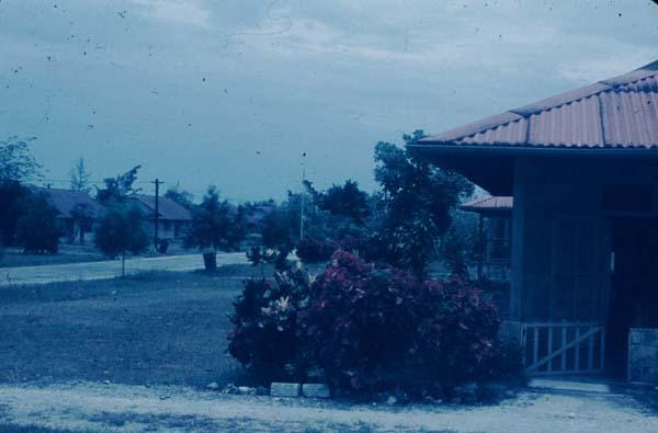 BD/67/99 - 
Biak

