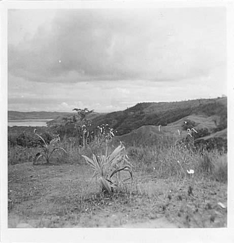 BD/128/7 - 
Landschap
