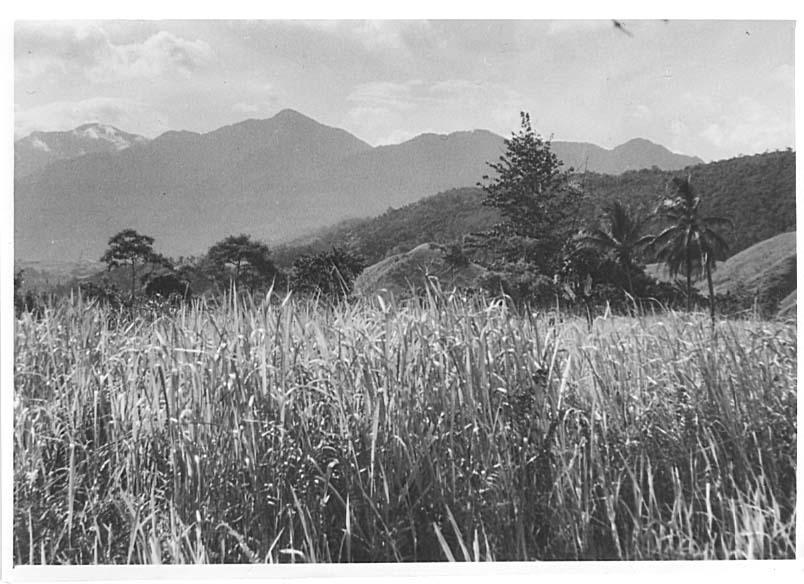 BD/128/9 - 
Landschap 

