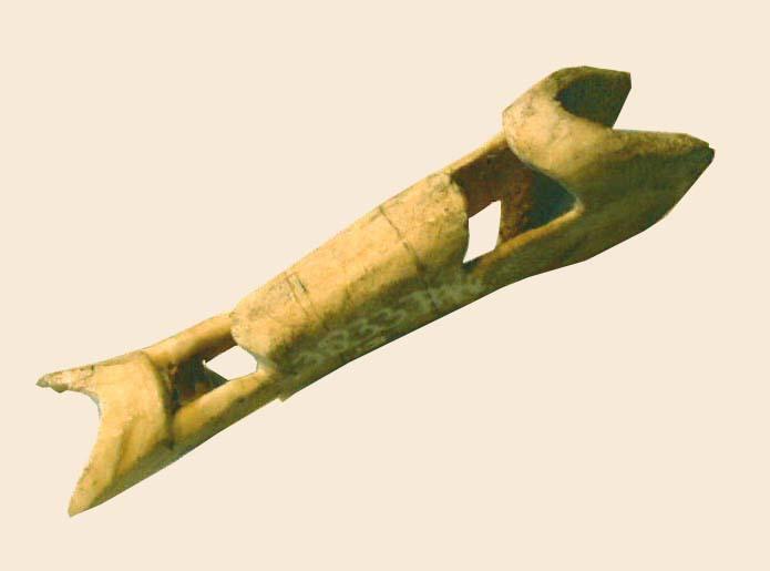 EA/39/6 - 
nose ornament
