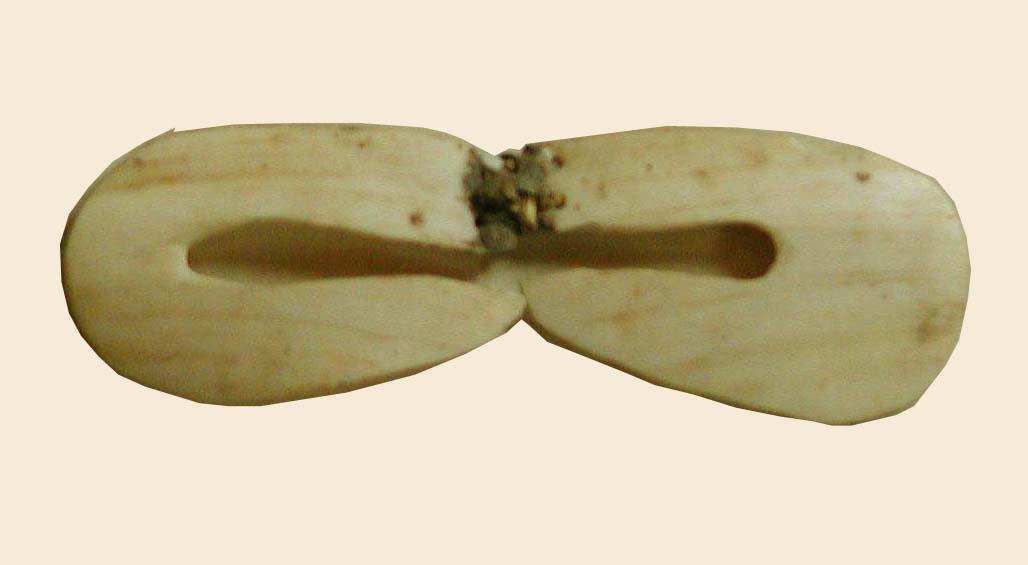EA/39/7 - 
nose ornament
