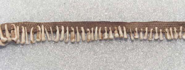 EA/65/19 - 
neck ornament
