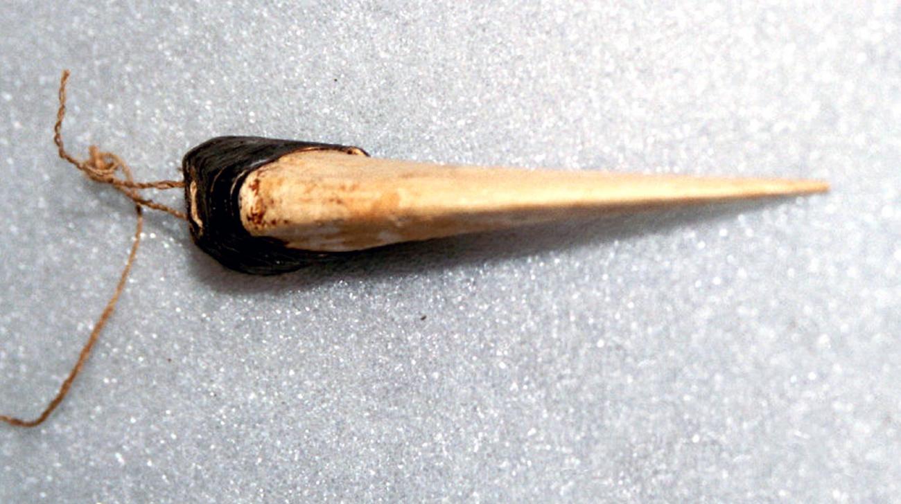 EA/65/35 -
peniskoker