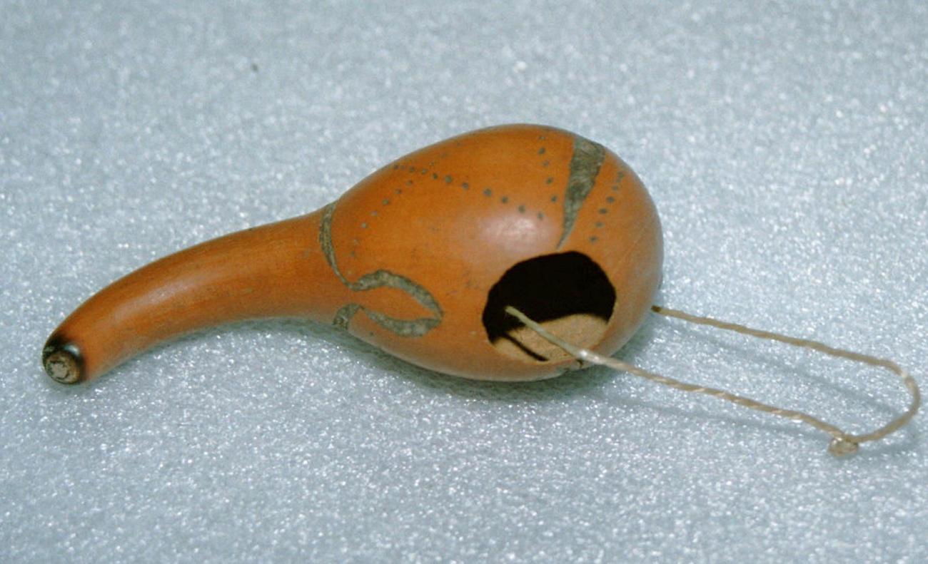 EA/65/36 -
penis gourd