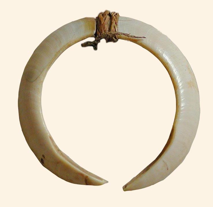 EA/6/1 -
nose ornament