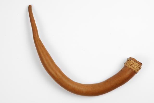 EA/99/35 - 
penis gourd
