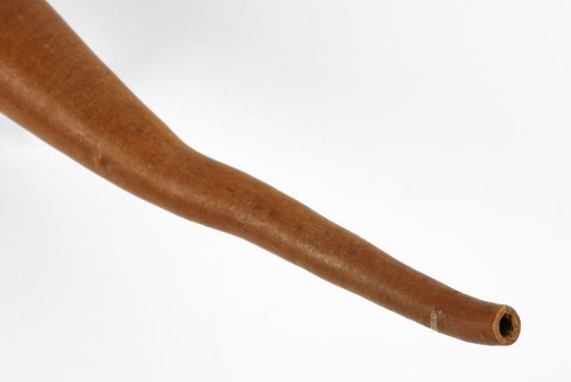 EA/99/35 - 
penis gourd
