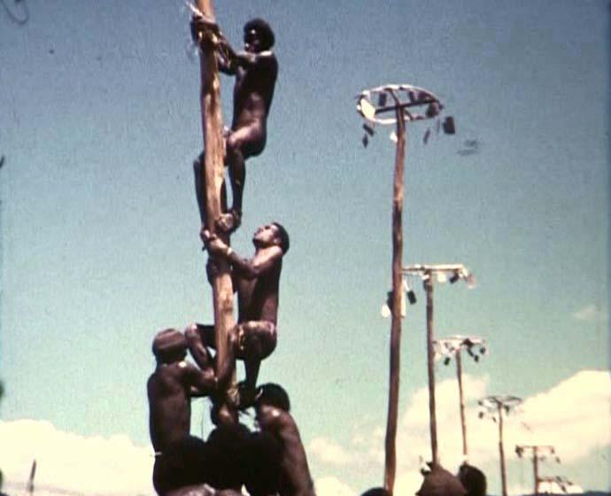 FI/40/27 -
Pugina en vliegveld Wamena
