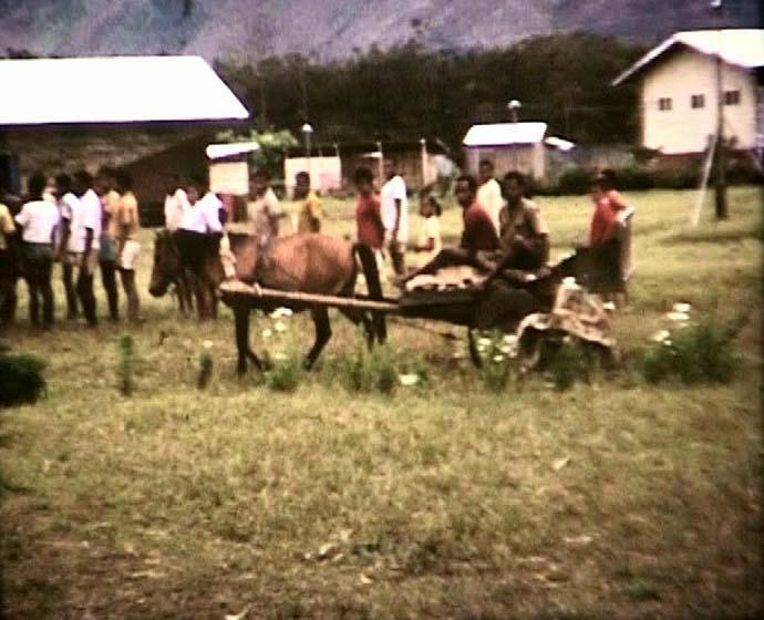 FI/40/27 -
Pugina en vliegveld Wamena