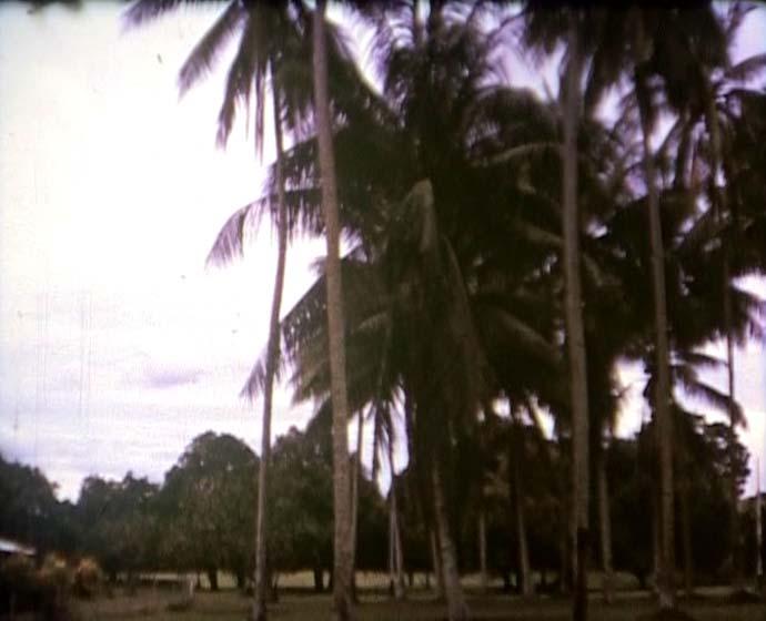 FI/40/31 -
Jayapura