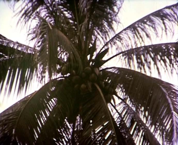 FI/40/31 -
Jayapura