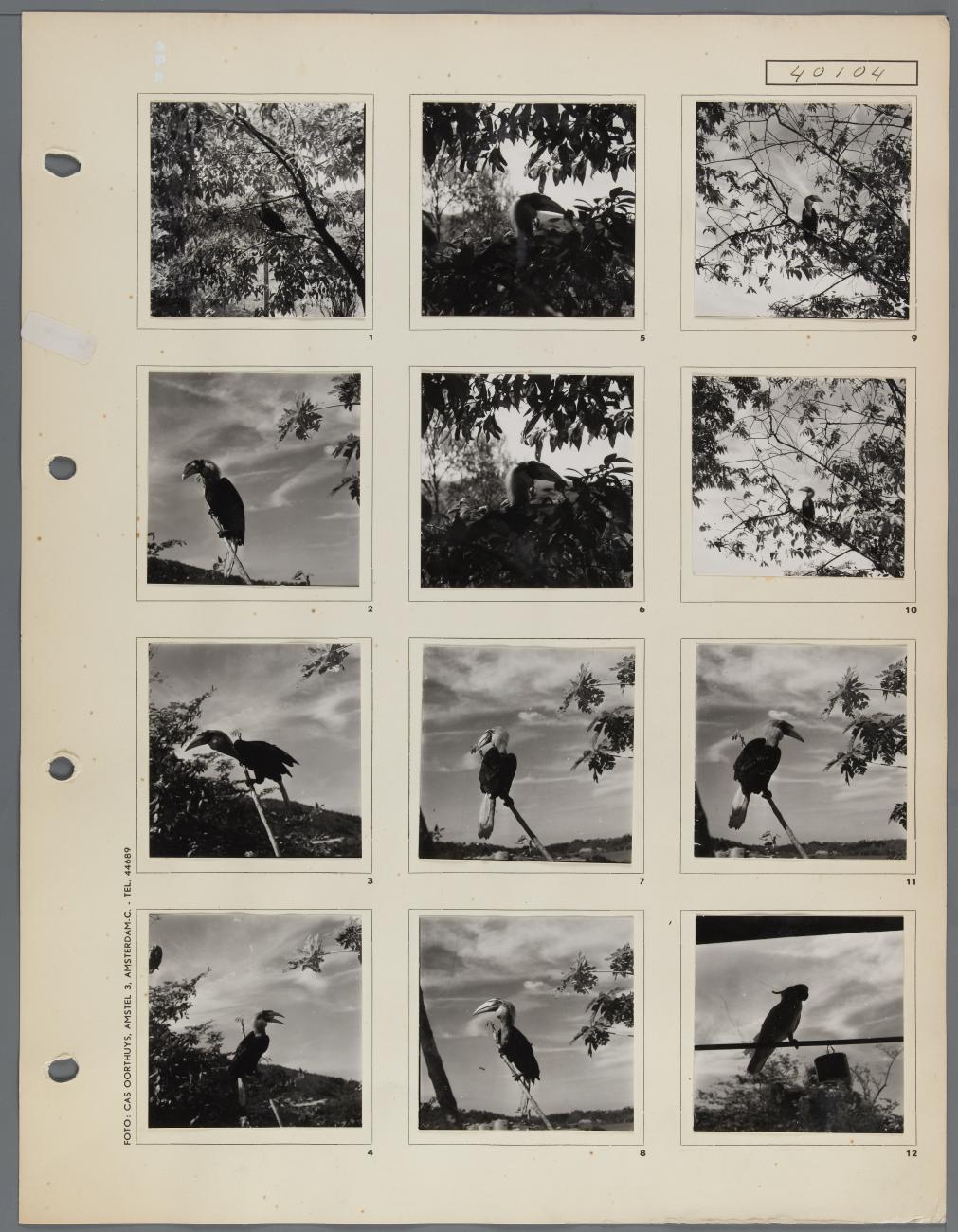 BD/163/83 -
Papua (Hollandia?)