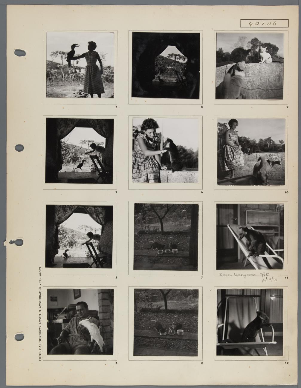 BD/163/85 -
Dieren Papua (Hollandia?)
