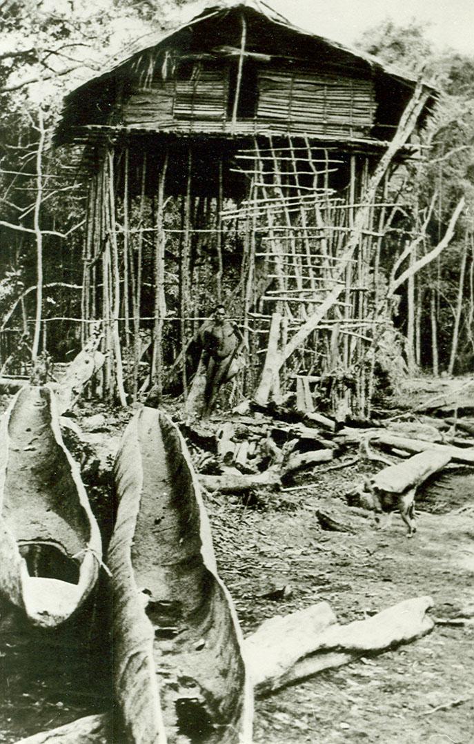 BD/39/12 - 
Papuan house
