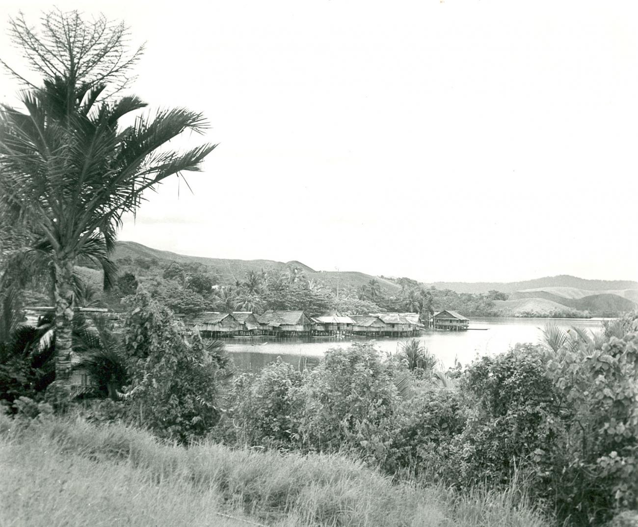 BD/39/17 - 
Houses in Sentani-lake
