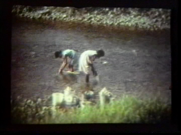 FI/1200/33 -
Gourd Men of New Guinea, The