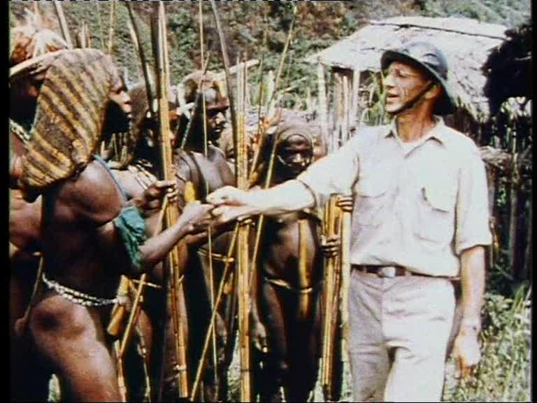 FI/1200/41 -
Report from Netherlands New Guinea