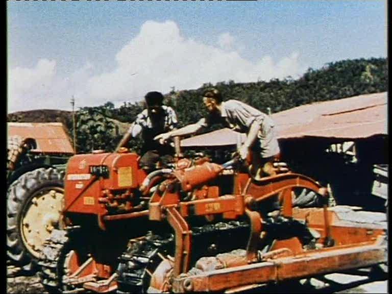 FI/1200/41 -
Report from Netherlands New Guinea