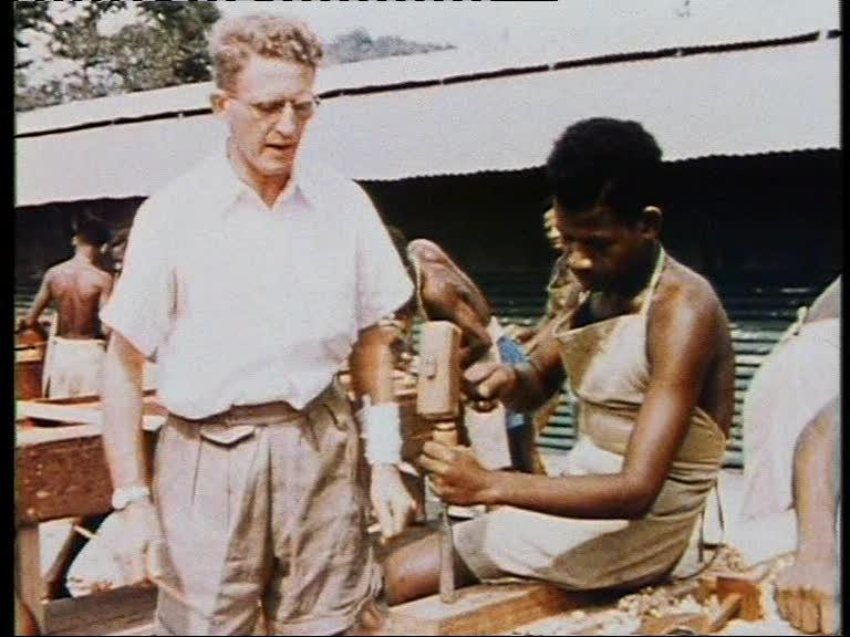 FI/1200/41 -
Report from Netherlands New Guinea