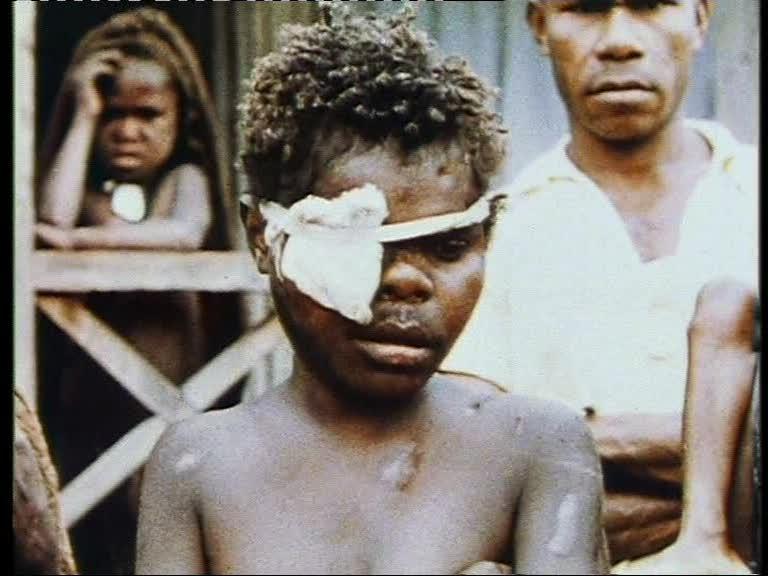 FI/1200/41 -
Report from Netherlands New Guinea