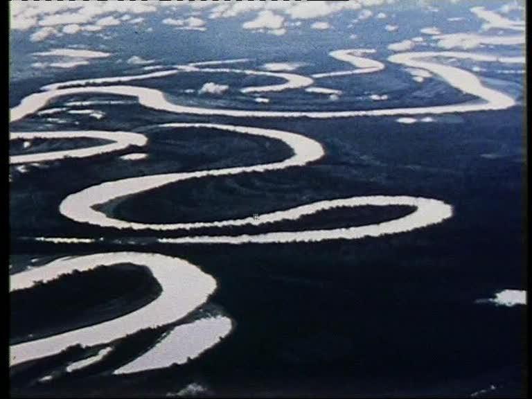 FI/1200/41 -
Report from Netherlands New Guinea