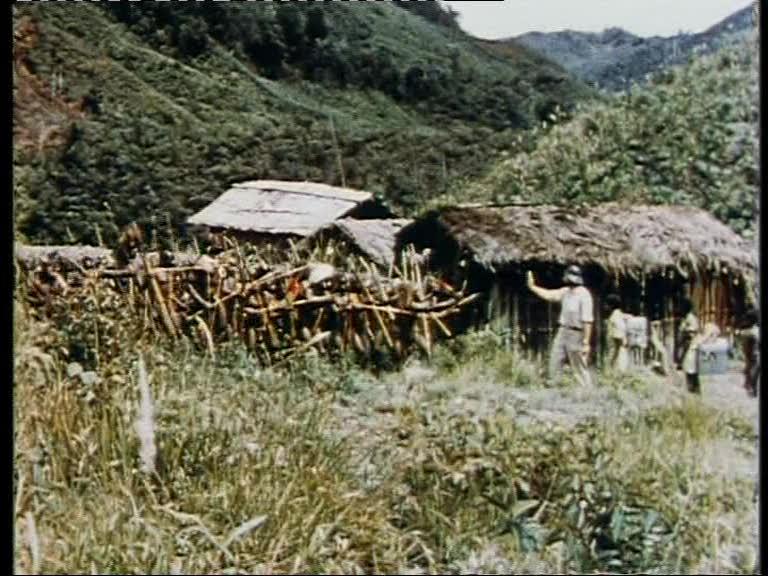 FI/1200/41 -
Report from Netherlands New Guinea