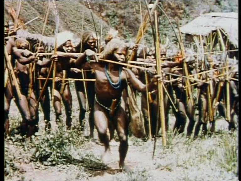 FI/1200/41 -
Report from Netherlands New Guinea