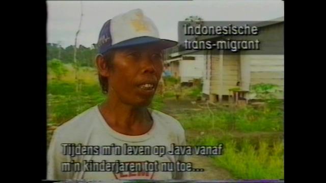 FI/1200/118 - 
De Krijgers van West Papua
