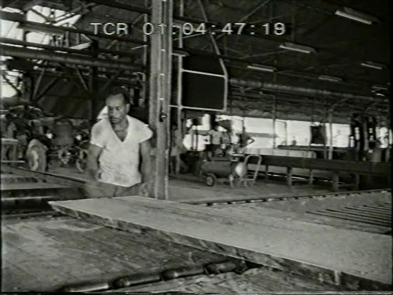 FI/1200/154 -
Nieuw-Guinea Kroniek 11: Hout, bron van welvaart