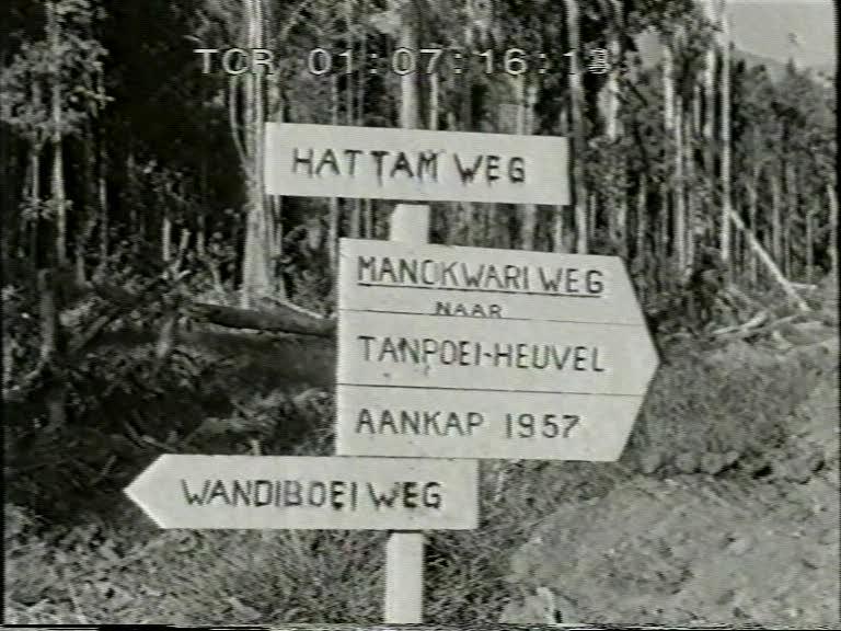 FI/1200/154 -
Nieuw-Guinea Kroniek 11: Hout, bron van welvaart
