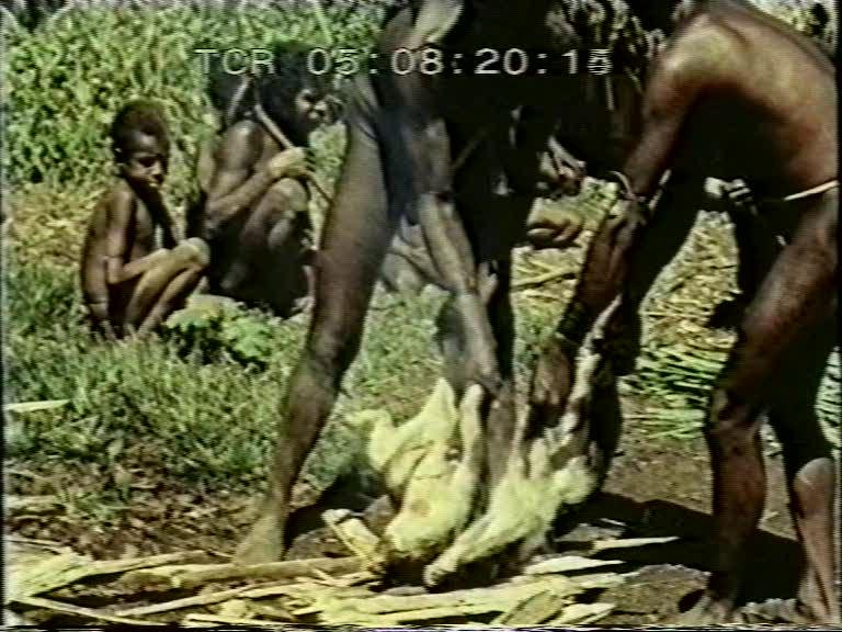 FI/1200/158 -
Nieuw-Guinea Kroniek 15: Zendingspost in de Baliemvallei