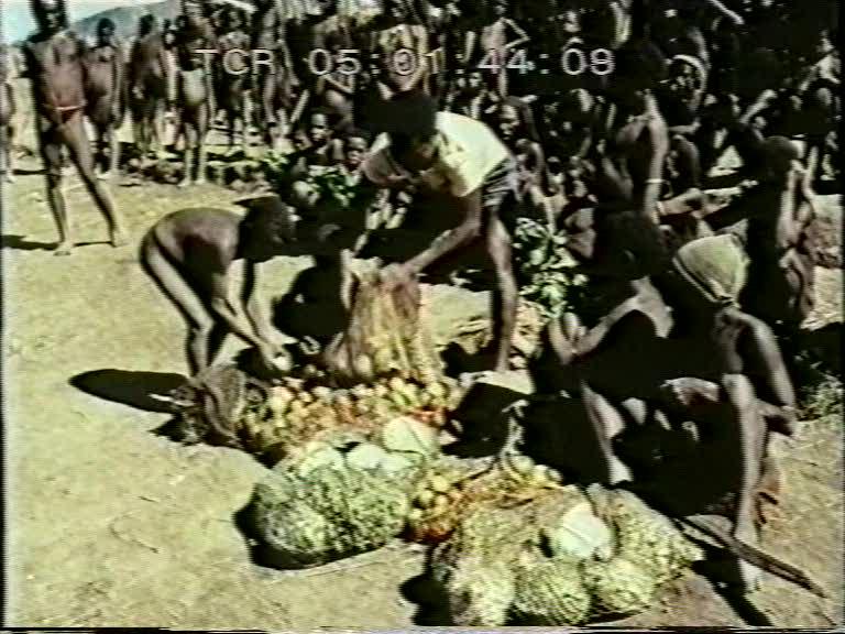 FI/1200/158 -
Nieuw-Guinea Kroniek 15: Zendingspost in de Baliemvallei