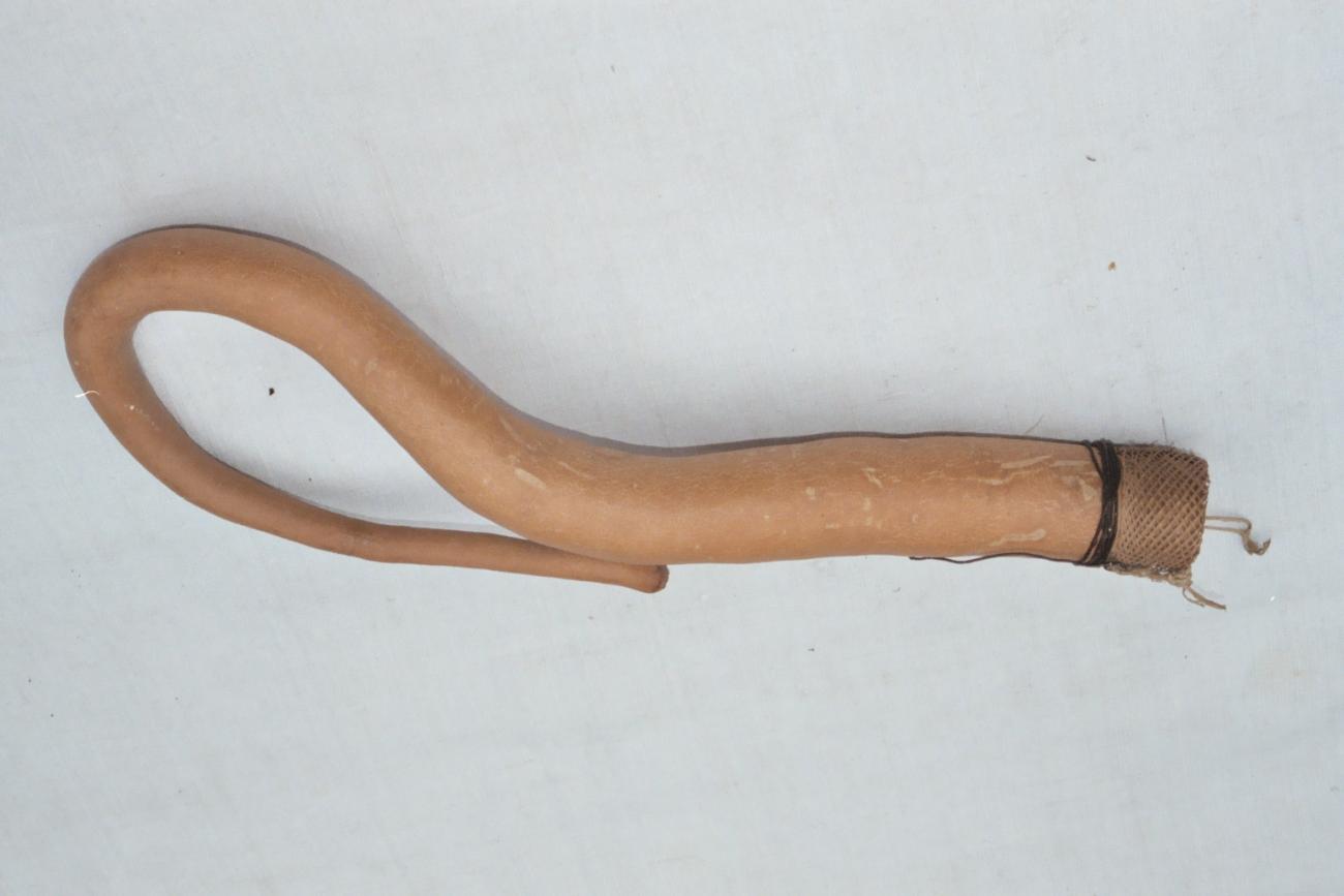 EA/129/8 - 
penis gourd
