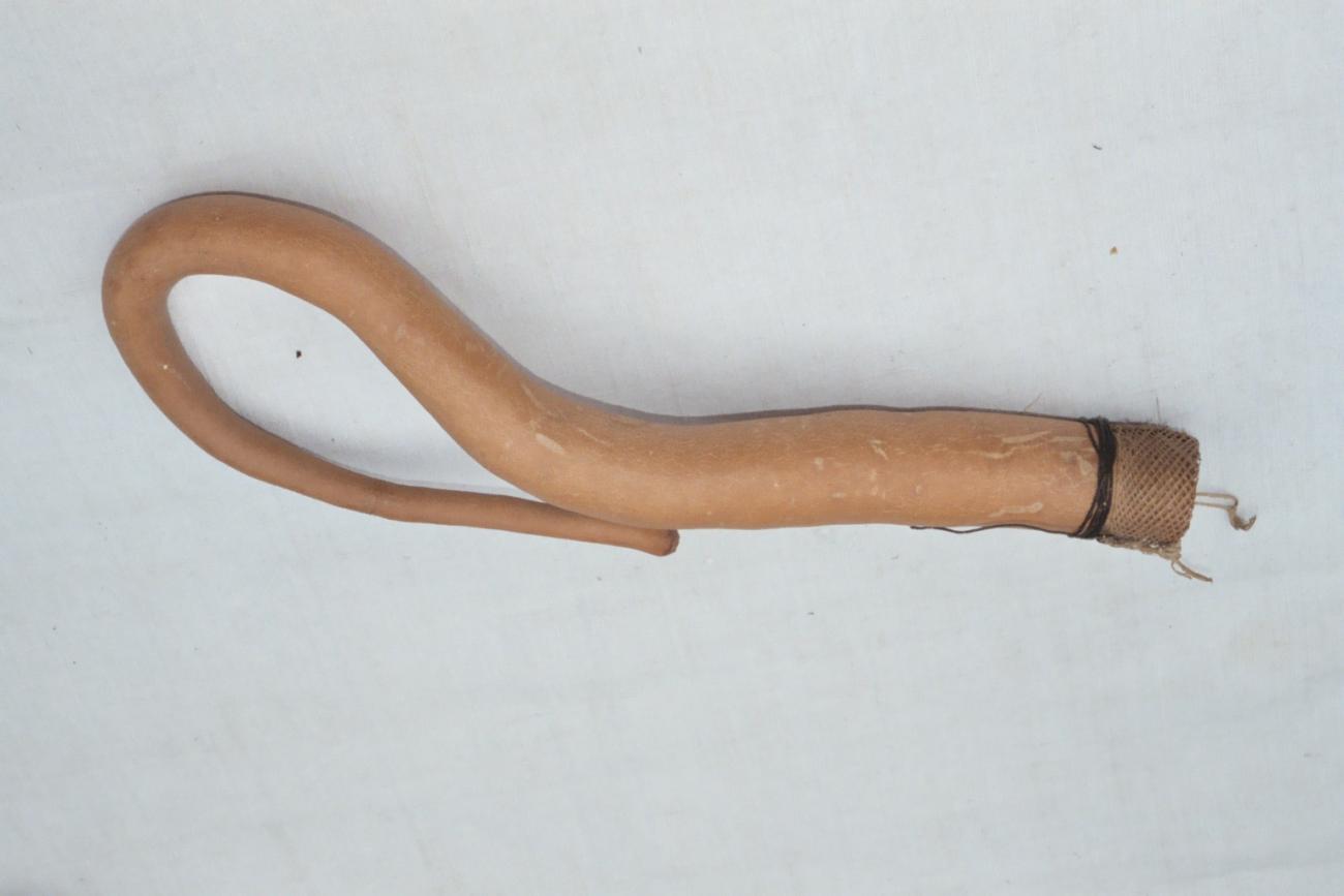 EA/129/8 - 
penis gourd

