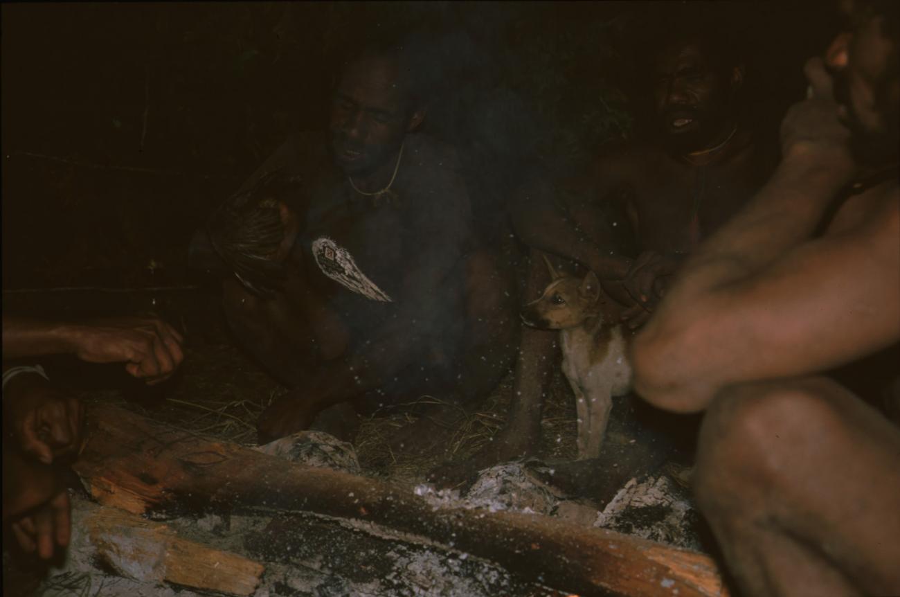 BD/166/105 -
Dog on wood fire