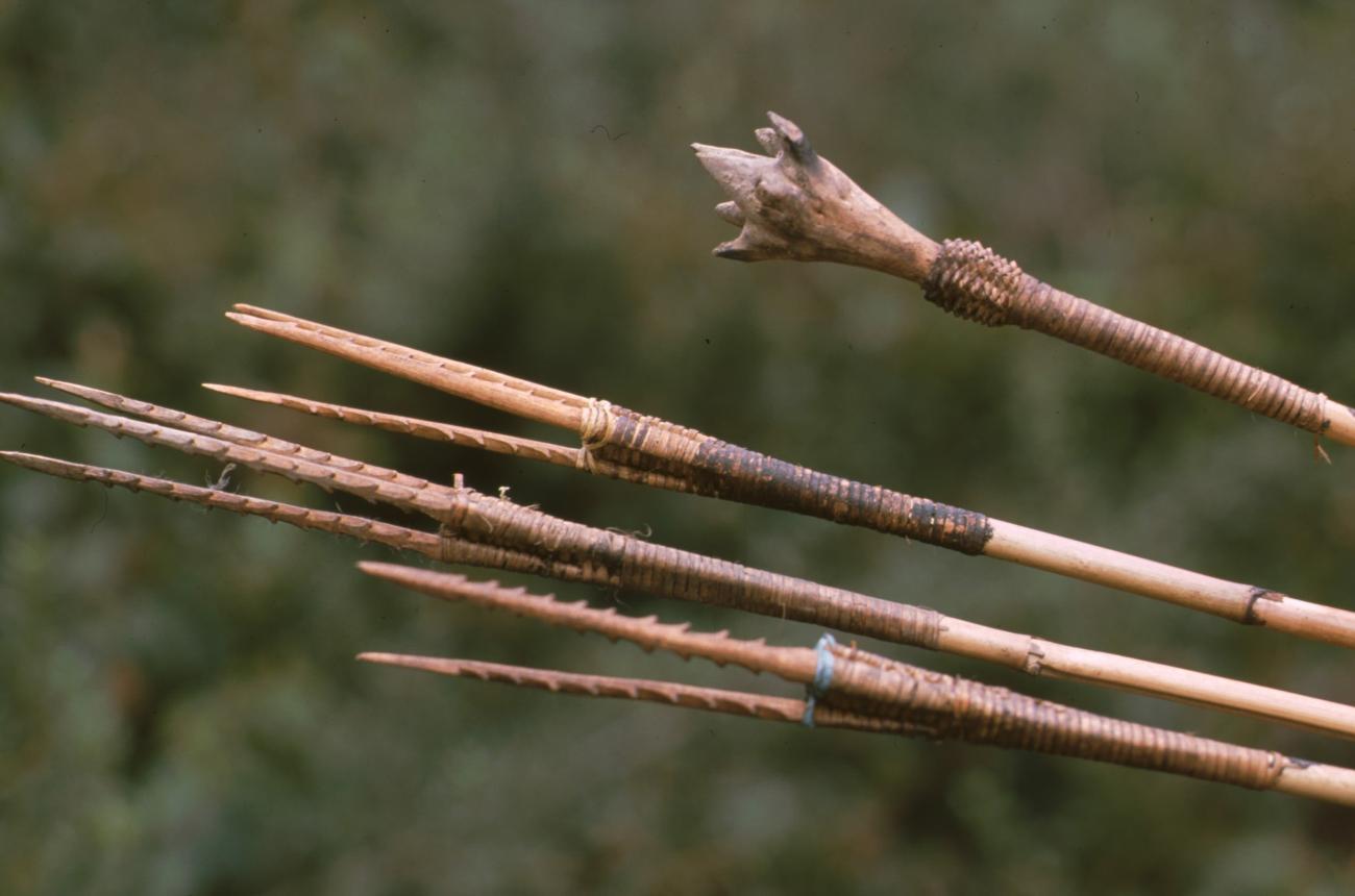 BD/166/10 -
Close-up of traditional arrowheads