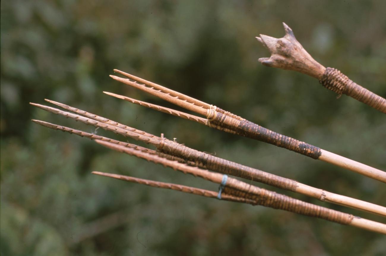 BD/166/10 -
Close-up of traditional arrowheads