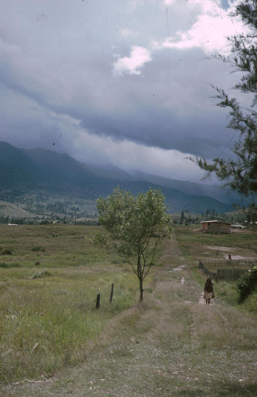 BD/166/160 -
A road along the village, vista on the mountains